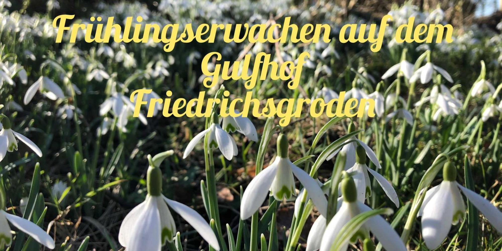 فيلا Gulfhof Friedrichsgroden كاروليننسيل المظهر الخارجي الصورة